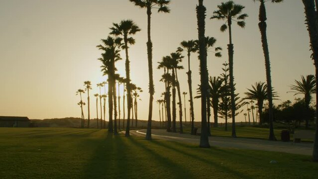 Beach Park at Sunset in Oxnard California