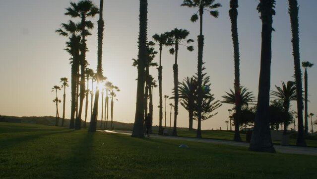 Beach Park at Sunset in Oxnard California
