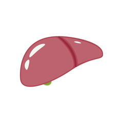 Liver cartoon vector. free space for text. wallpaper. background.
