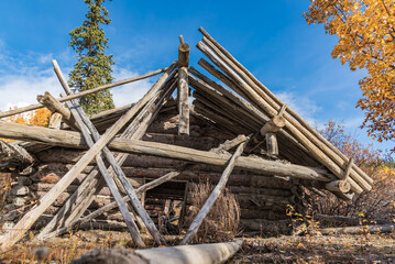 Fototapeta na wymiar Abandoned log cabin that is collapsed and falling over in the woods, wilderness area of Canada in fall, autumn season. 