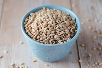 A bowl with raw barley seeds