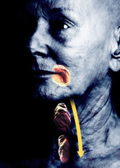 Neck and muscles, salivary glands, swallowing food, digestive problems. Anatomy of the human body. Dysphagia. Trachea. 3d rendering
