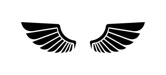 Pair of vector wings on white background.