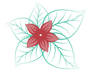 Abstract Sketch Floral Design - Red and Pink Flower With Transparent Green Leaves