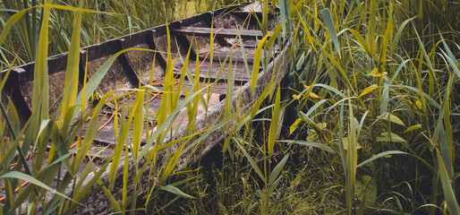 An old, dilapidated boat among the reeds