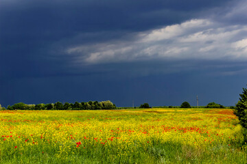 Перед грозой.