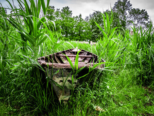 An old, dilapidated boat among the reeds