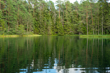 Summer landscape with a small lake in the forest.