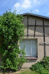 Fototapeta na wymiar Kleines altes Gartenhaus mit Metallgitter am Fenster