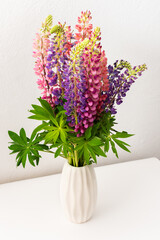Lupinus in a white vase against a white wall, part of a home interior, house decoration with flowers lupin, cozy summer background