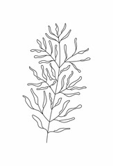 Botanical wall art abstract vectors. Boho branch vector in line art style. Ethnic tribal cactus in hand drawn style