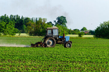 Fototapeta premium Tractor, processing a field of soybeans in a farmer's field. Agricultural activity. A series of pictures.