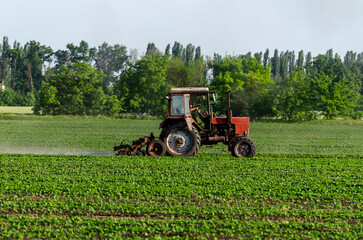 Tractor, processing a field of soybeans in a farmer's field. Agricultural activity. A series of pictures.