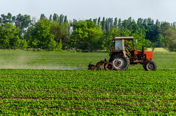 Obraz premium Tractor, processing a field of soybeans in a farmer's field. Agricultural activity. A series of pictures.