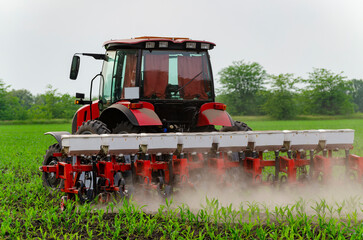 A farmer on a tractor fertilizes and cultivates a field of young corn. Fertilizing corn with nitrogen. Agrarians. A series of pictures © Dmitry