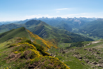 Naklejka premium Belagua Valley. Navarrese Pyrenees. Lakora 