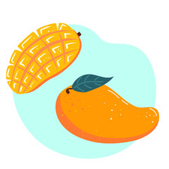 Fresh exotic fruit- mango. Healthy eating. Vector illustration