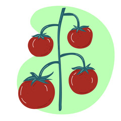Fresh organic vegetables-tomato. Vector illustration, Healthy vegetarian food.