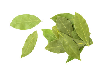 Dry bay leaves isolated on white background. Fragrant seasoning for cooking.