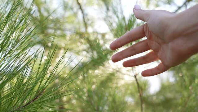 4k point of view stock video footage of one female outstretched hand reaching up to sky and green plants growing outdoors. Sun light sparkles with sun rays among fingers of woman enjoying warm weather