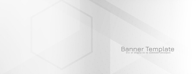 Hexagon shapes modern white color geometric banner design