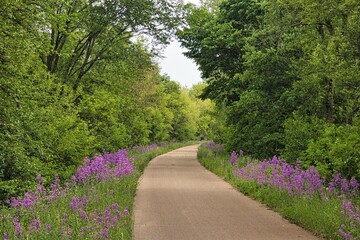 A late Spring landscape of green trees and flowering grasslands surrounds the Great Sauk State...