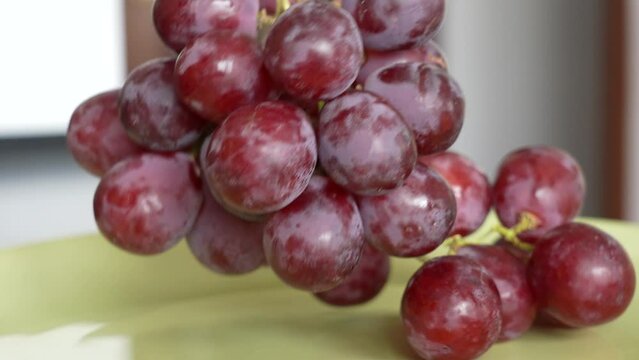 Closeup view slow motion 4k stock video footage of empty green plate standing on table in kitchen. Woman takes big cluster of red juicy grapes from green plate then puts it back slowly