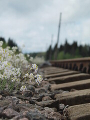 between the rail 4.0