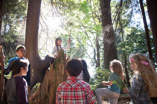 Group Of Children Having Fun In Forest