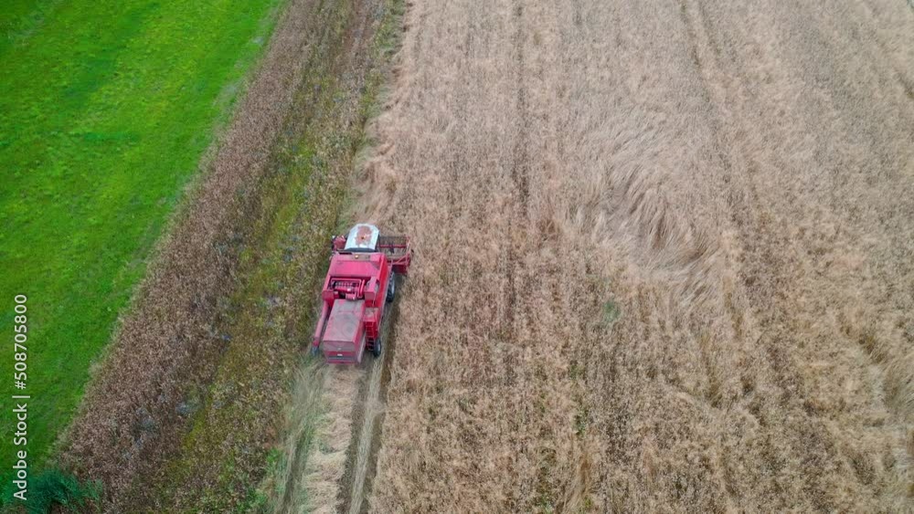 Wall mural Combine harvester in Poland