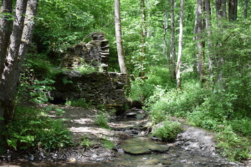 Ruine im Wald, Martental