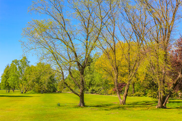 Natural panorama view with pathway green plants trees forest Germany.