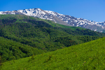 Fototapeta na wymiar Mountain landscape with alpine forest, Armenia