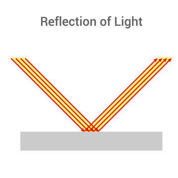Regular reflection of light. Diagram of specular reflection vector illustration isolated on white background