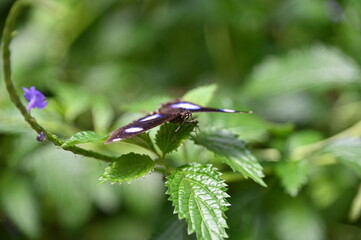 The Iconic Marina Bay Sands Landmark Hotel, Art Museum and Surrounding Tourist Attraction Areas