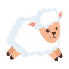 Fototapeta premium little sheep baby