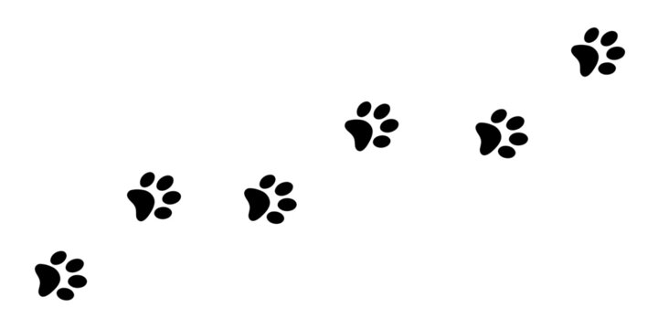 Dog or cat paw on white background