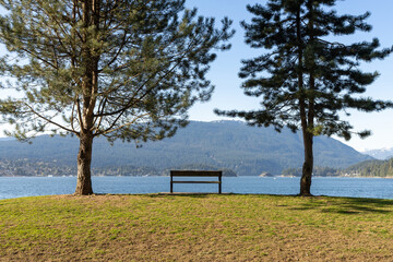 Fototapeta premium A wooden bench between two trees. Barnet Marine Park in a sunny day. Burrard Inlet shore. Burnaby, British Columbia, Canada.