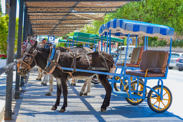 Mijas, Spain, 28.05.2022: Donkey Taxi. Station in the center of a small town in the mountains.