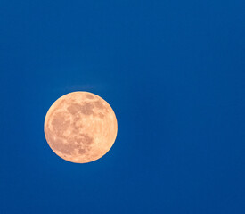 full moon in the night