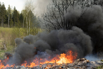 Fire in nature. Illegal landfill is on fire. Black smoke and fire. Waste incineration. Fire in forest.