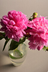 pink peony beautiful summer bouquet