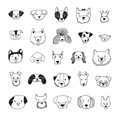 Dog faces vector illustrations set