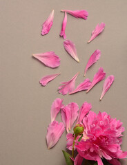 pink peony beautiful summer bouquet