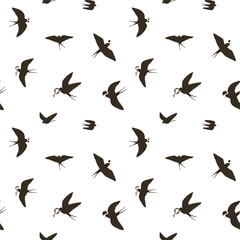 Swallow bird vector seamless pattern