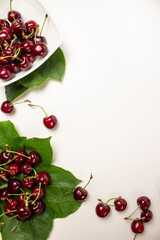 
sweet cherry on a white background close-up