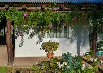 wall of a country house decorated with flowers, vine, pots and round rustic wooden poles