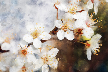 White spring flowers on a twig of wood, watercolor art