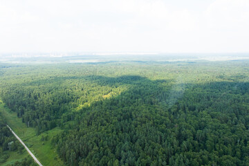 View of the forest from above. Forest in Moscow region, Russia. Green array.