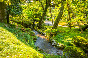 Fototapeta premium 石川県金沢市 新緑の兼六園
